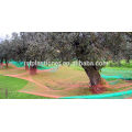 Venta caliente verde oliva aceituna redes de la cosecha